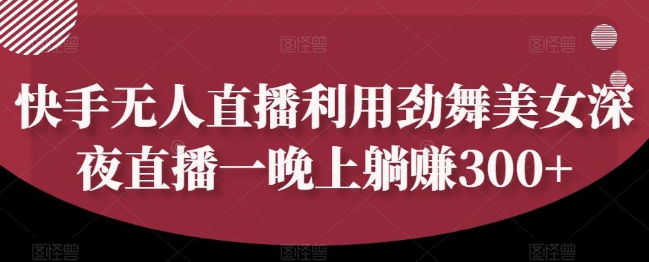 快手无人直播利用劲舞美女深夜直播一晚上躺赚300+ - 小毅网创-小毅网创