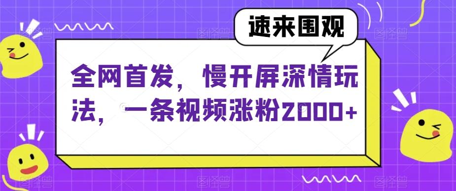 全网首发，慢开屏深情玩法，一条视频涨粉2000+【揭秘】 - 小毅网创-小毅网创