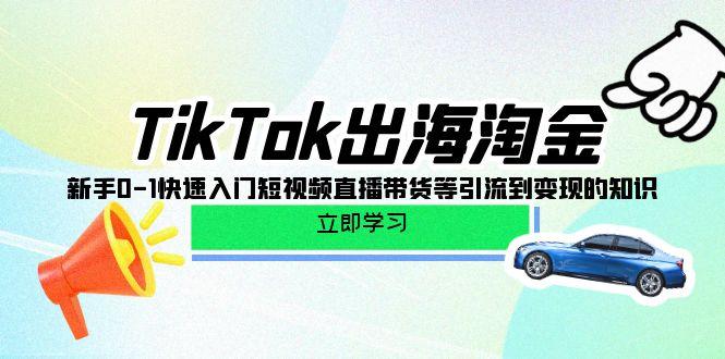 (10035期)TikTok-出海淘金，新手0-1快速入门短视频直播带货等引流到变现的知识 - 小毅网创-小毅网创