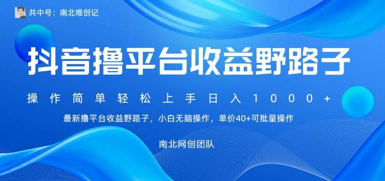 最新撸抖音平台收益野路子，操作简单，单价高，小白可无脑操作可日入1000+ - 小毅网创-小毅网创