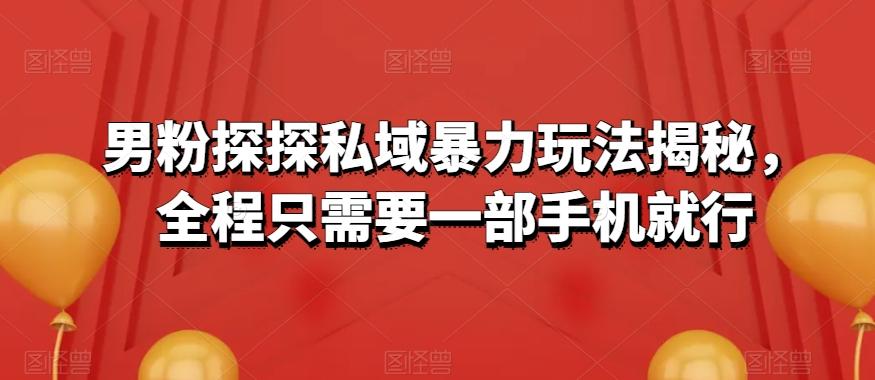 男粉探探私域暴力玩法揭秘，全程只需要一部手机就行 - 小毅网创-小毅网创