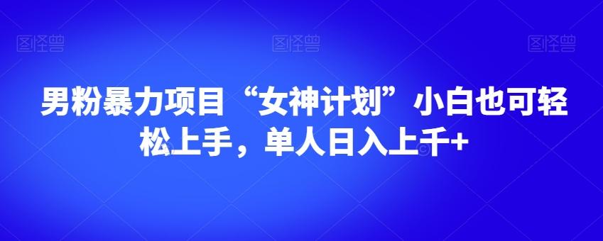 男粉暴力项目“女神计划”小白也可轻松上手，单人日入上千+【揭秘】 - 小毅网创-小毅网创