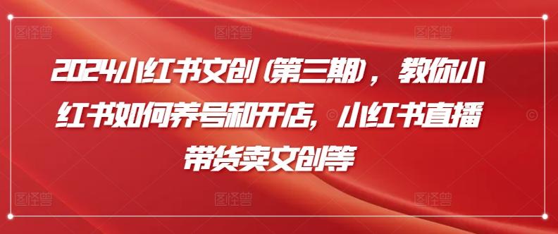 2024小红书文创(第三期)，教你小红书如何养号和开店，小红书直播带货卖文创等 - 小毅网创-小毅网创
