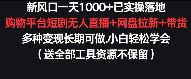 新风口一天1000+已实操落地购物平台短剧无人直播+网盘拉新+带货多种变现长期可做【揭秘】 - 小毅网创-小毅网创