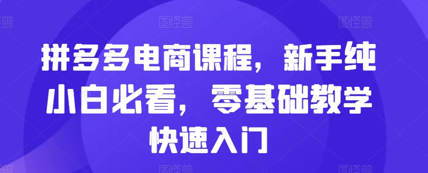 拼多多电商课程，新手纯小白必看，零基础教学快速入门 - 小毅网创-小毅网创