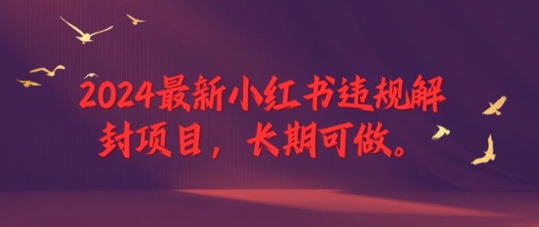 2024最新小红书违规解封项目，长期可做，一个可以做到退休的项目【揭秘】 - 小毅网创-小毅网创