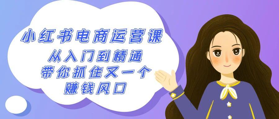 2024小红书-电商运营课，从入门到精通，带你抓住又一个赚钱风口(50节课) - 小毅网创-小毅网创