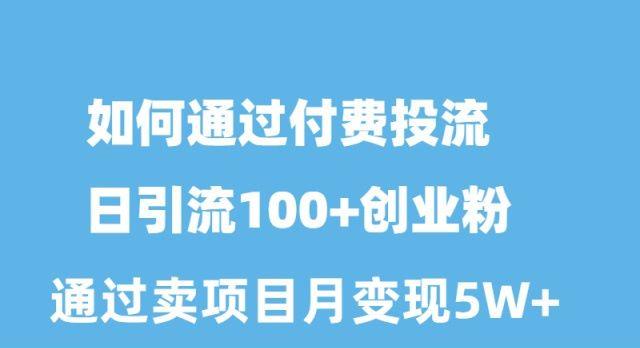 如何通过付费投流日引流100+创业粉月变现5W+ - 小毅网创-小毅网创