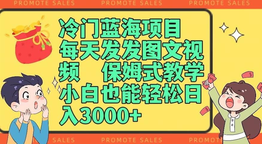 冷门蓝海项目，每天发发图文视频，保姆式教学，小白也能轻松日入3000+ - 小毅网创-小毅网创