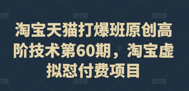 淘宝天猫打爆班原创高阶技术第60期，淘宝虚拟怼付费项目 - 小毅网创-小毅网创