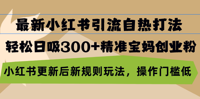 最新小红书引流自热打法，轻松日吸300+精准宝妈创业粉，小红书更新后新... - 小毅网创-小毅网创