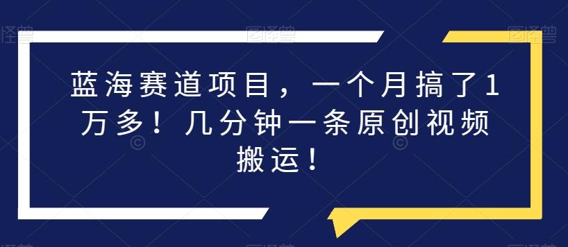 蓝海赛道项目，一个月搞了1万多！几分钟一条原创视频搬运！ - 小毅网创-小毅网创
