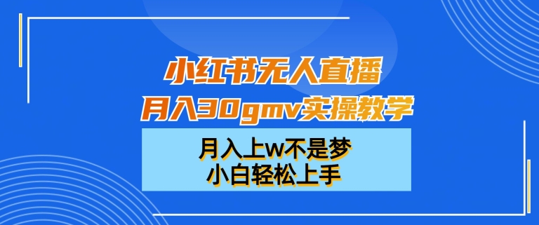 小红书无人直播月入30gmv实操教学，月入上w不是梦，小白轻松上手【揭秘】 - 小毅网创-小毅网创