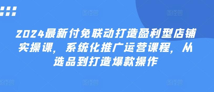 2024最新付免联动打造盈利型店铺实操课，​系统化推广运营课程，从选品到打造爆款操作 - 小毅网创-小毅网创
