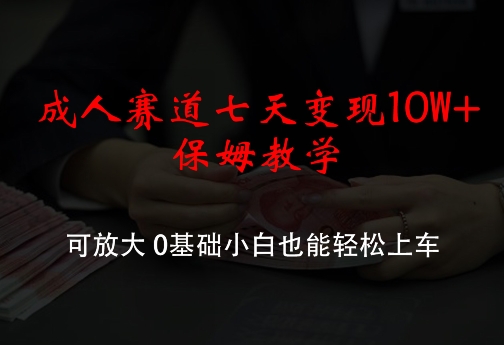 成人赛道七天变现10W+保姆教学，可放大，0基础小白也能轻松上车【揭秘】 - 小毅网创-小毅网创