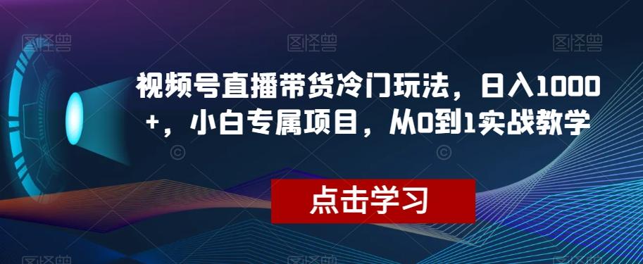 视频号直播带货冷门玩法，日入1000+，小白专属项目，从0到1实战教学【揭秘】 - 小毅网创-小毅网创