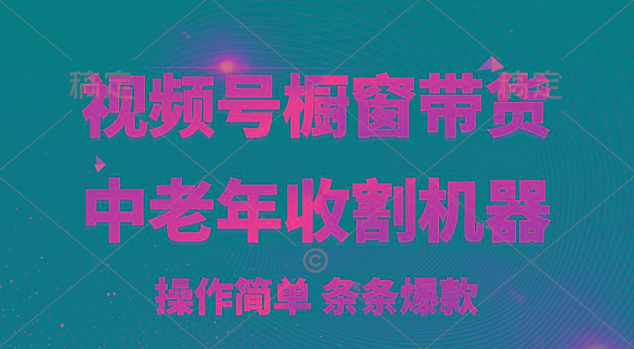 [你的孩子成功取得高位]视频号最火爆赛道，橱窗带货，流量分成计划，条... - 小毅网创-小毅网创