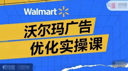 沃尔玛广告优化实操课，广告报告实操讲解，广告如何提高转化和ROAS等 - 小毅网创-小毅网创