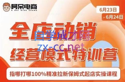 阿呆电商·全店动销经营模式特训营(线下录音+思维导图) - 小毅网创-小毅网创