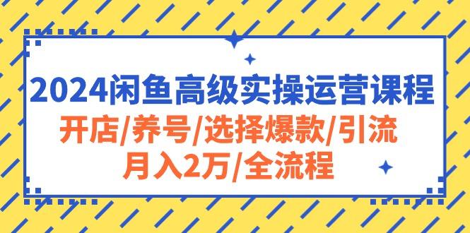 2024闲鱼高级实操运营课程：开店/养号/选择爆款/引流/月入2万/全流程 - 小毅网创-小毅网创