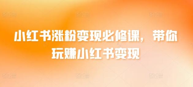 小红书涨粉变现必修课，带你玩赚小红书变现 - 小毅网创-小毅网创