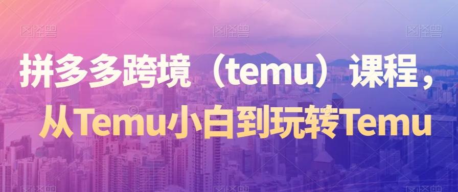 拼多多跨境（temu）课程，从Temu小白到玩转Temu - 小毅网创-小毅网创