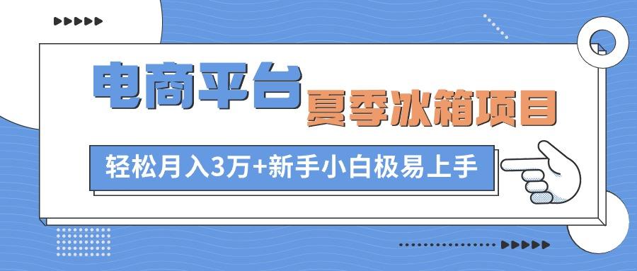 电商平台夏季冰箱项目，轻松月入3万+，新手小白极易上手 - 小毅网创-小毅网创