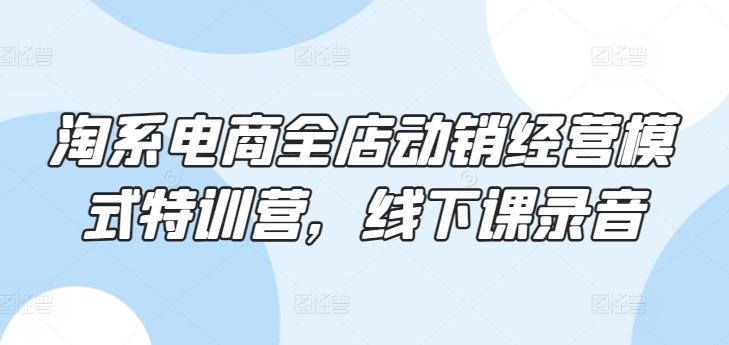 淘系电商全店动销经营模式特训营，线下课录音 - 小毅网创-小毅网创