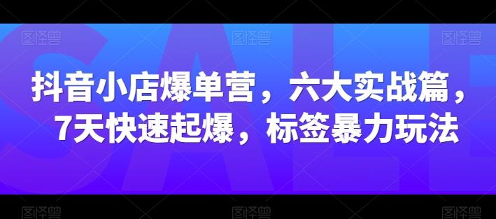 抖音小店爆单营，六大实战篇，7天快速起爆，标签暴力玩法 - 小毅网创-小毅网创