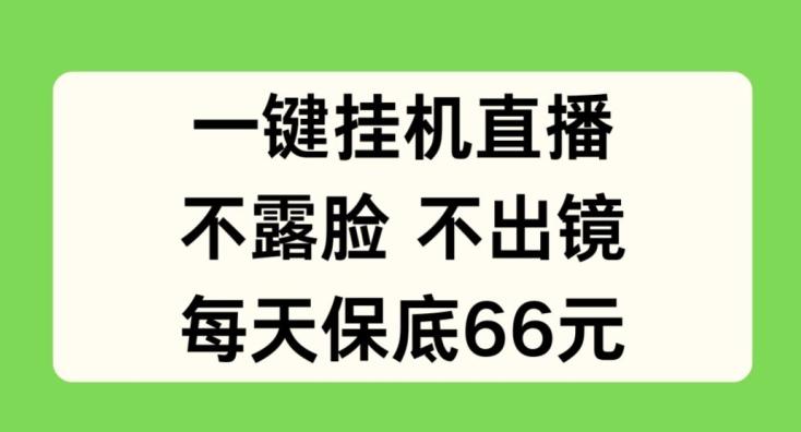 一键挂JI直播，不露脸不出境，每天保底66元【揭秘】 - 小毅网创-小毅网创