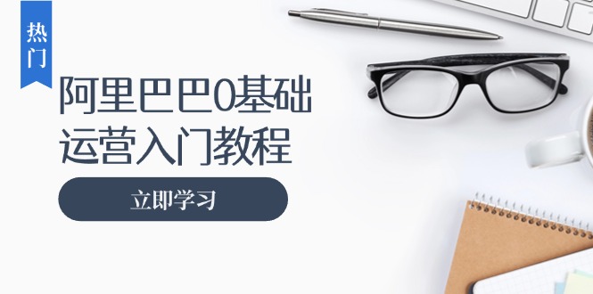 阿里巴巴运营零基础入门教程：涵盖开店、运营、推广，快速成为电商高手 - 小毅网创-小毅网创