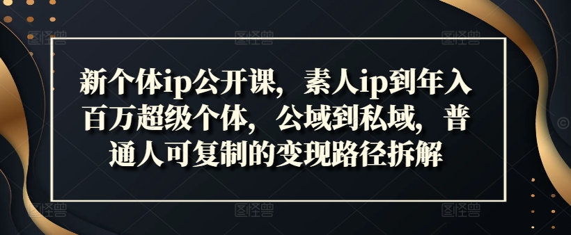 新个体ip公开课，素人ip到年入百万超级个体，公域到私域，普通人可复制的变现路径拆解 - 小毅网创-小毅网创