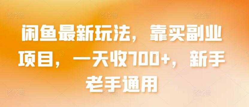 闲鱼最新玩法，靠买副业项目，一天收700+，新手老手通用【揭秘】 - 小毅网创-小毅网创
