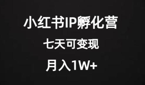 价值2000+的小红书IP孵化营项目，超级大蓝海，七天即可开始变现，稳定月入1W+ - 小毅网创-小毅网创