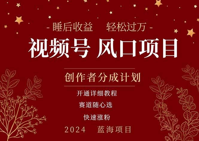拥有睡眠收益的微信视频号大风口项目，轻松月入过万+，多赛道选择，可... - 小毅网创-小毅网创