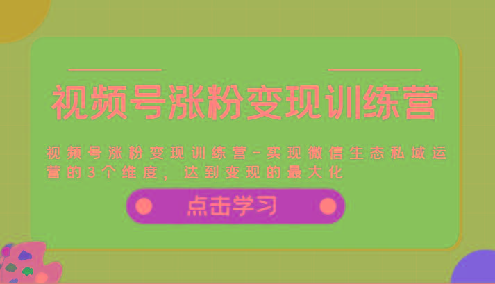 视频号涨粉变现训练营-实现微信生态私域运营的3个维度，达到变现的最大化 - 小毅网创-小毅网创