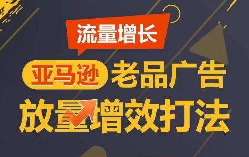 流量增长 亚马逊老品广告放量增效打法，短期内广告销量翻倍 - 小毅网创-小毅网创