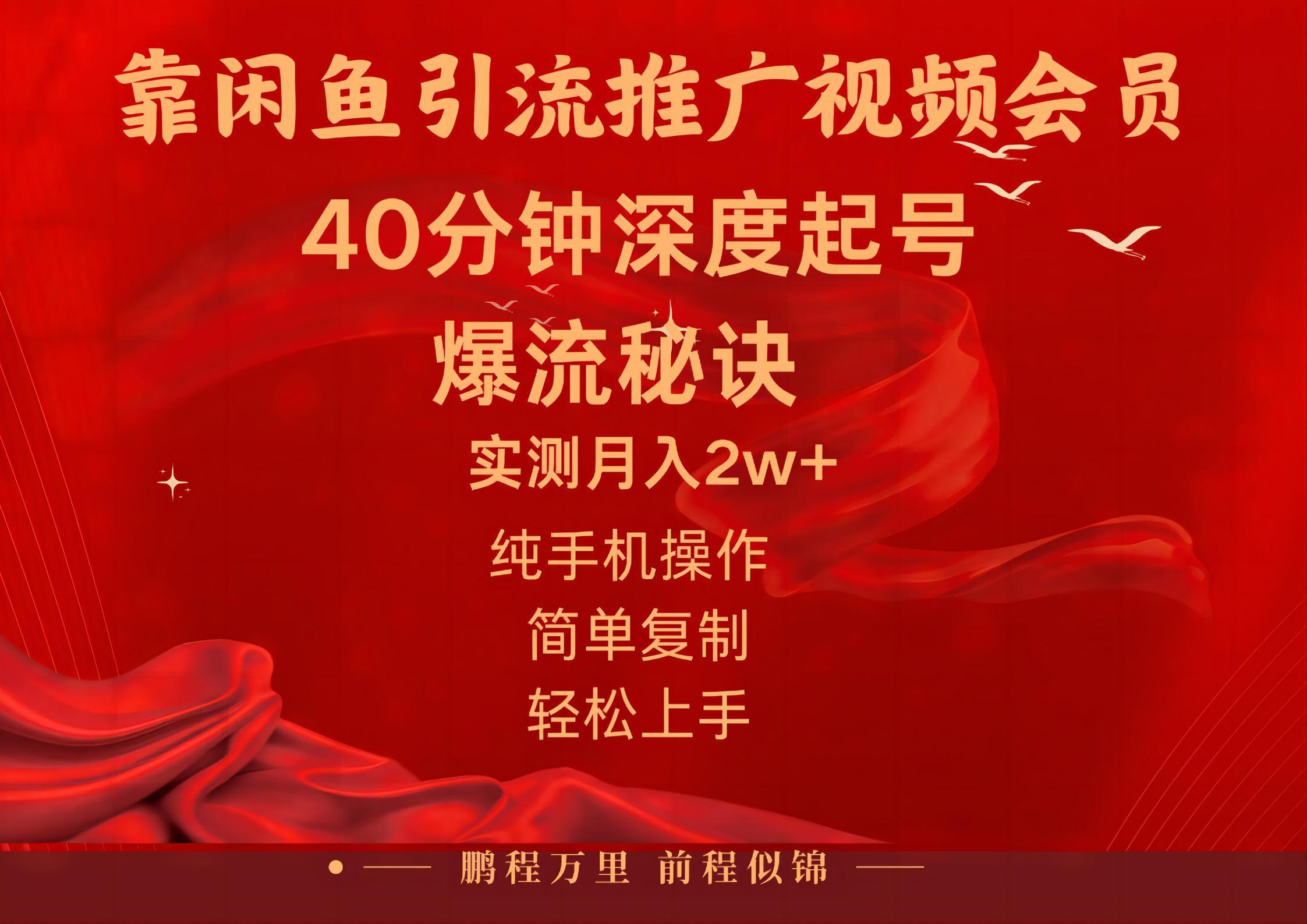 闲鱼暴力引流推广视频会员，能做到日入2W+，操作简单 - 小毅网创-小毅网创