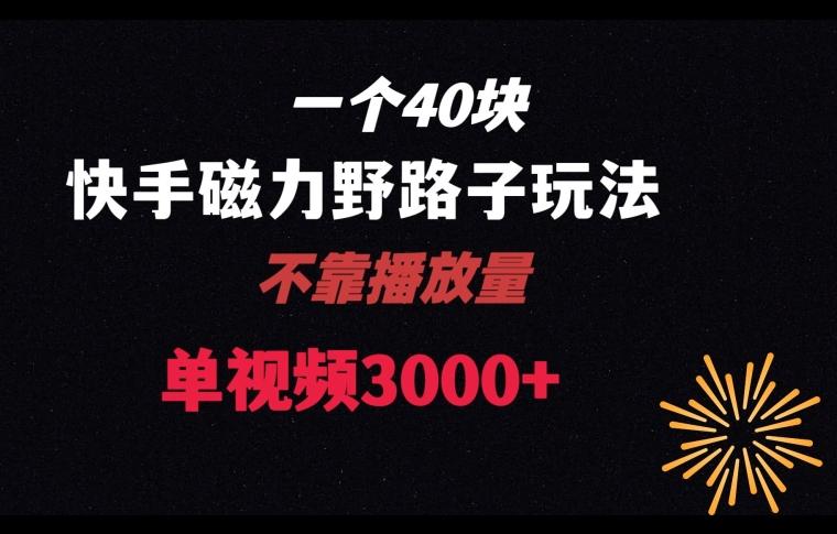 一个40块，快手联合美团磁力新玩法，无视机制野路子玩法，单视频收益4位数【揭秘】 - 小毅网创-小毅网创