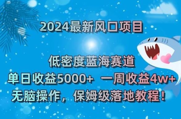 2024最新风口项目，低密度蓝海赛道，单日收益5000+，一周收益4w+！【揭秘】 - 小毅网创-小毅网创