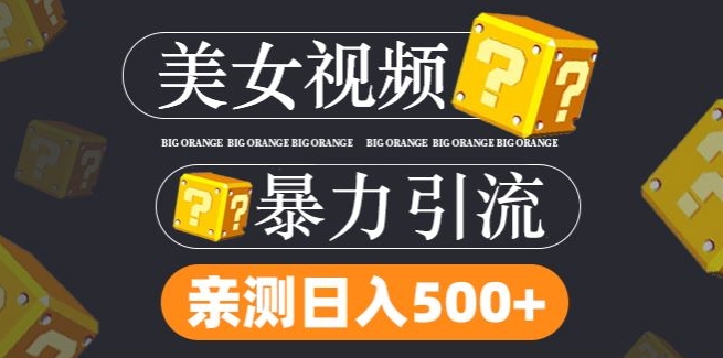 搬运tk美女视频全网分发，日引s粉300+，轻松变现，不限流量不封号【揭秘】 - 小毅网创-小毅网创