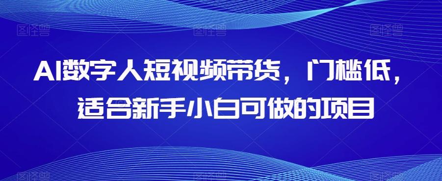 AI数字人短视频带货，门槛低，适合新手小白可做的项目 - 小毅网创-小毅网创