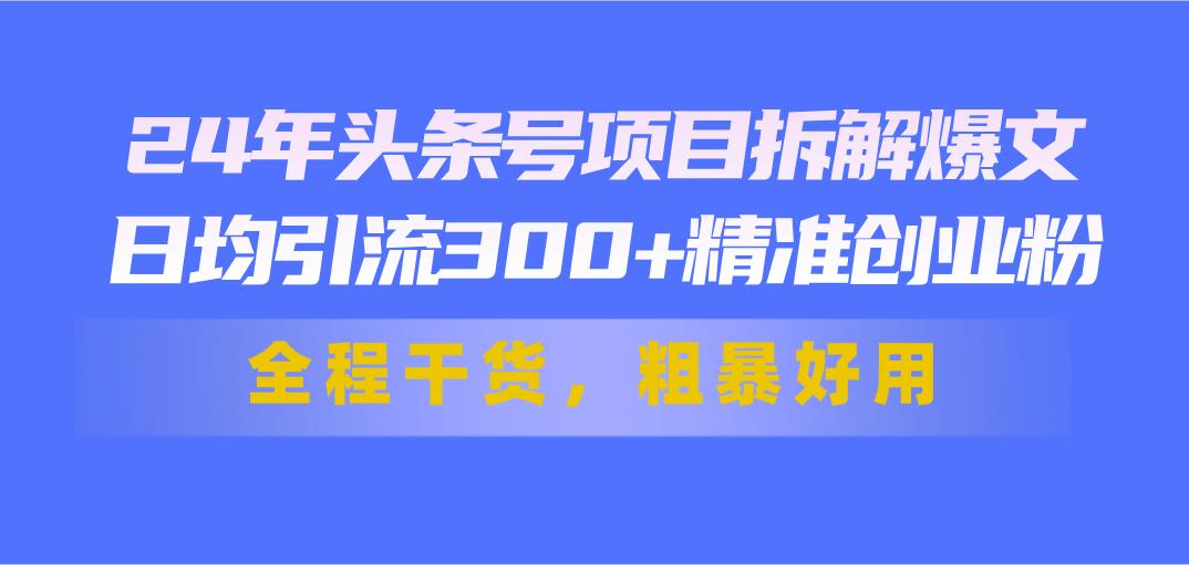 24年头条号项目拆解爆文，日均引流300+精准创业粉，全程干货，粗暴好用 - 小毅网创-小毅网创