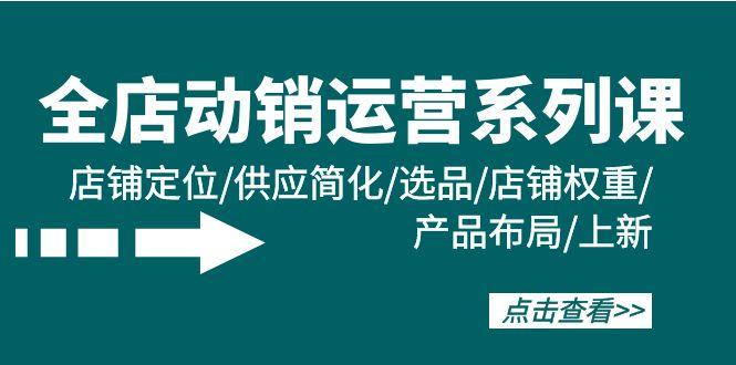 (9845期)全店·动销运营系列课：店铺定位/供应简化/选品/店铺权重/产品布局/上新 - 小毅网创-小毅网创