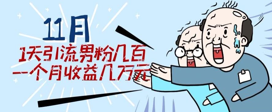 11月最新每天引流男粉300+一个月收益几万元 - 小毅网创-小毅网创