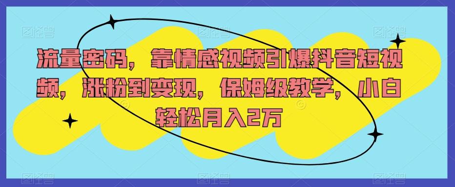 流量密码，靠情感视频引爆抖音短视频，涨粉到变现，保姆级教学，小白轻松月入2万【揭秘】 - 小毅网创-小毅网创