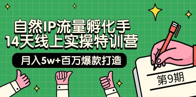 (9881期)自然IP流量孵化手 14天线上实操特训营【第9期】月入5w+百万爆款打造 (74节) - 小毅网创-小毅网创
