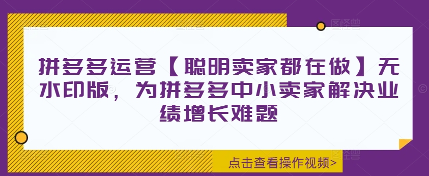 拼多多运营【聪明卖家都在做】无水印版，为拼多多中小卖家解决业绩增长难题 - 小毅网创-小毅网创