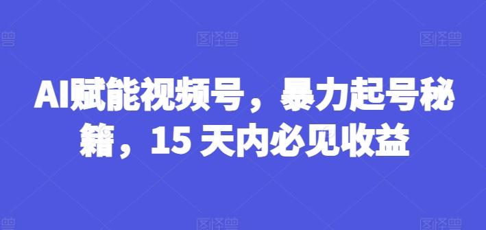 AI赋能视频号，暴力起号秘籍，15 天内必见收益【揭秘】 - 小毅网创-小毅网创