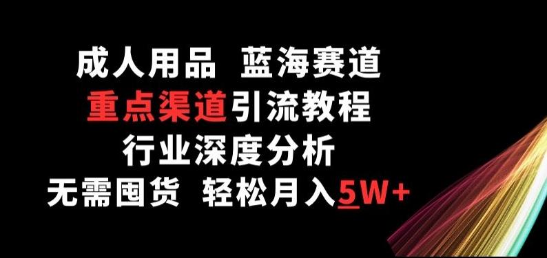成人用品，蓝海赛道，重点渠道引流教程，行业深度分析，无需囤货，轻松月入5W+【揭秘】 - 小毅网创-小毅网创